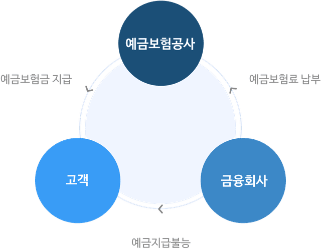예금자 보험 구조도